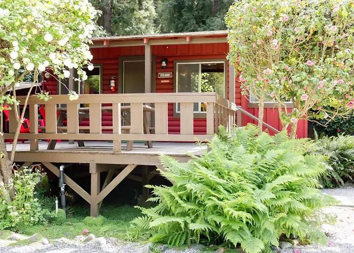 Fern River Resort